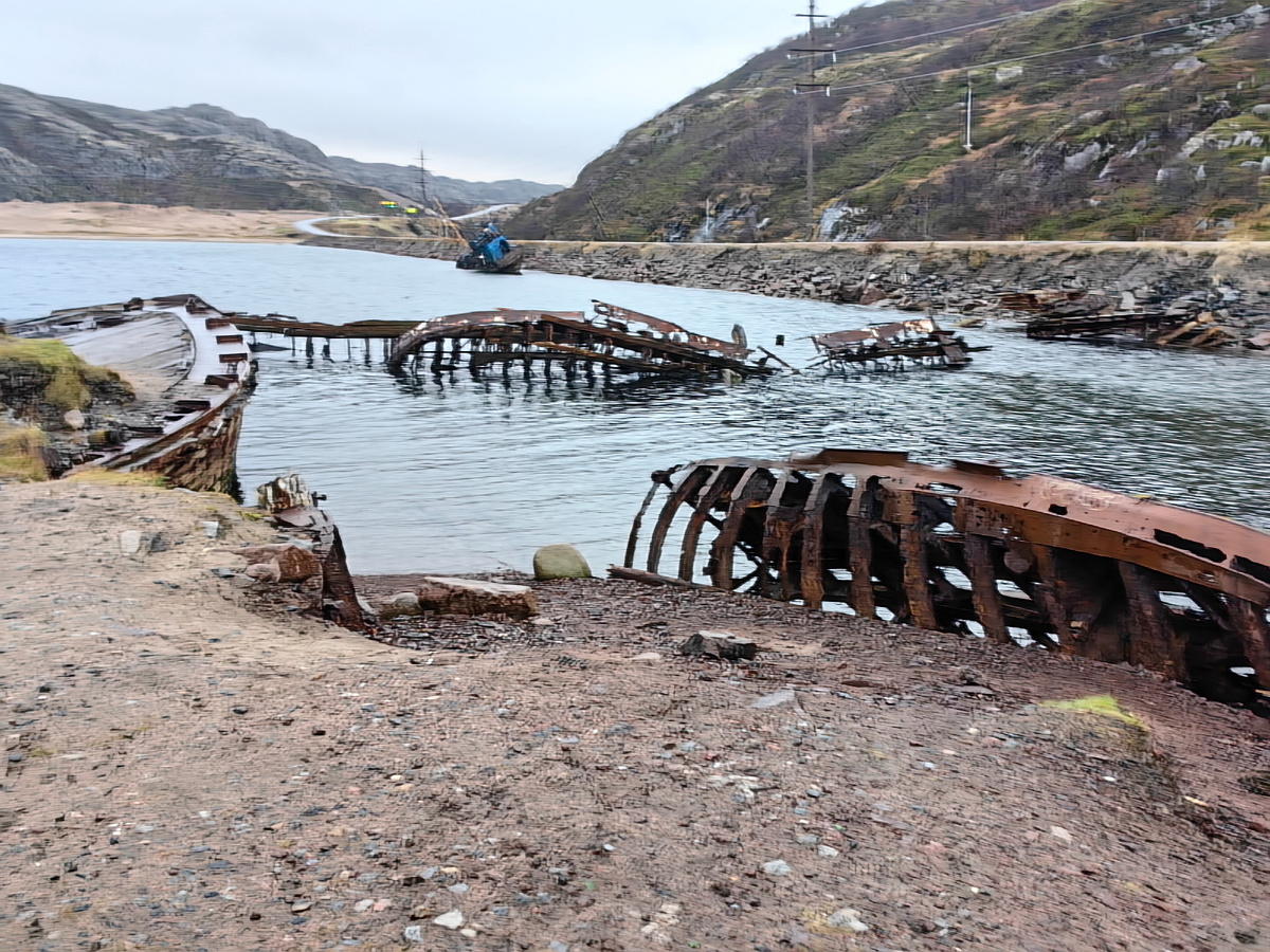 Любопытный тюлень покорил Териберку