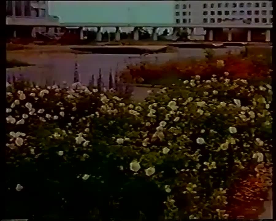 Финляндия теряет миллион евро в день из-за закрытой границы с Россией