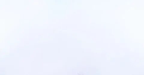 Pantone объявил цвет 2026 года: «Танцующее облако»