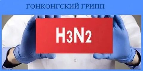 Грипп А(H3N2) в России: эпидемический подъем и защита вакцинами