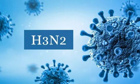 Грипп А(H3N2) в России: эпидемический подъем и защита вакцинами