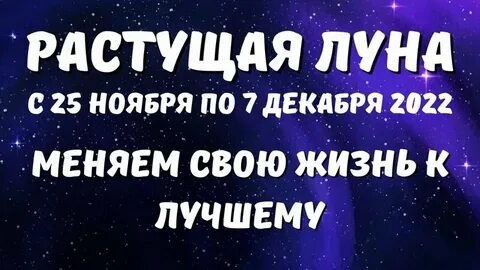 🌕 Холодная Луна: Рак сияет в полнолуние 4 декабря! + Суперлуние в Близнецах 5 декабря