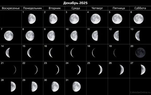 🌕 Холодная Луна: Рак сияет в полнолуние 4 декабря! + Суперлуние в Близнецах 5 декабря