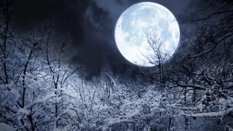 🌕 Холодная Луна: Рак сияет в полнолуние 4 декабря! + Суперлуние в Близнецах 5 декабря