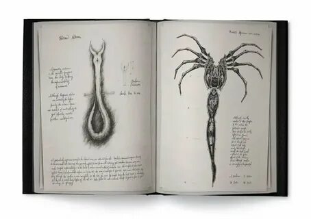 Skyblivion перенесли на 2026 год: фанатский ремейк Oblivion задерживается