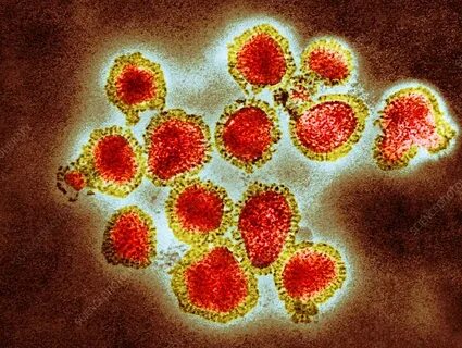 Грипп А(H3N2) в России: эпидемический подъем и защита вакцинами