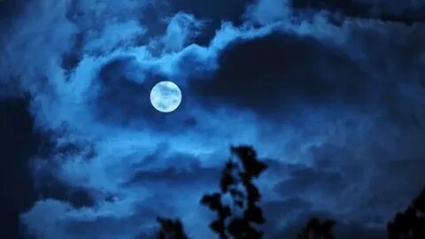 🌕 Холодная Луна: Рак сияет в полнолуние 4 декабря! + Суперлуние в Близнецах 5 декабря