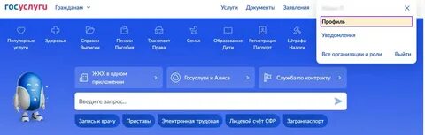 Как войти в Госуслуги без Max: экстренные способы и новые детали