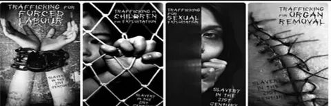 Американский драматург арестован в Японии за контрабанду наркотиков