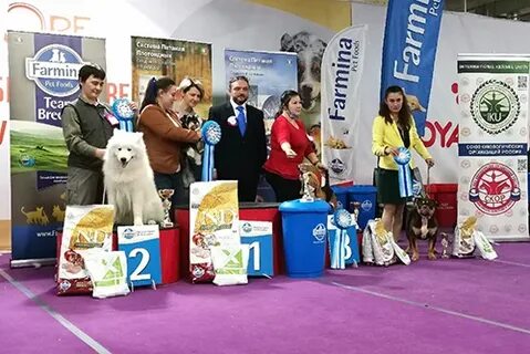 Москва украсилась арт-павильонами «Фабрика подарков»