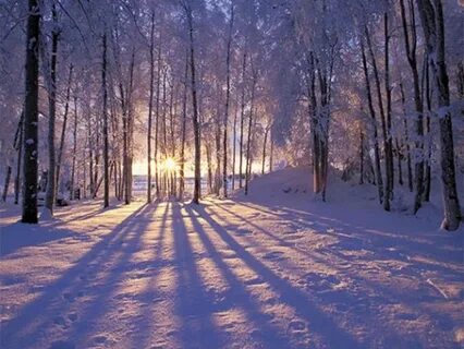 Джекпот в $1.27 млрд: кто сорвал мега-выигрыш? 🎉