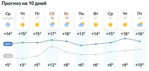 Погода в Краснодаре: заморозки и ветер перед дождями