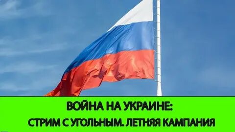Босния предупреждает о систематической исламофобной кампании