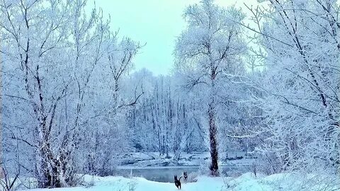 Джекпот в $1.27 млрд: кто сорвал мега-выигрыш? 🎉