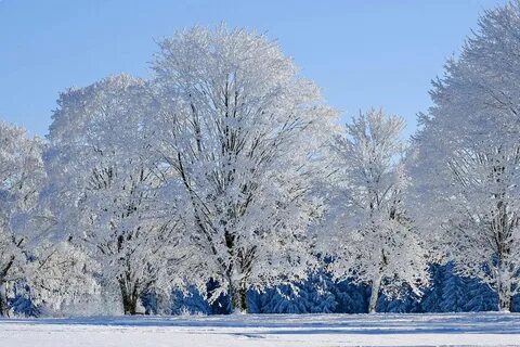 Джекпот в $1.27 млрд: кто сорвал мега-выигрыш? 🎉