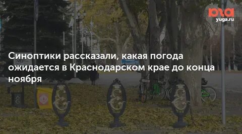 Погода в Краснодаре: заморозки и ветер перед дождями