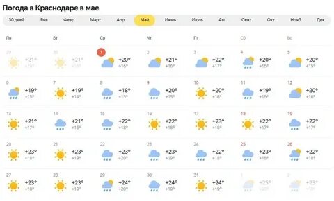 Погода в Краснодаре: заморозки и ветер перед дождями