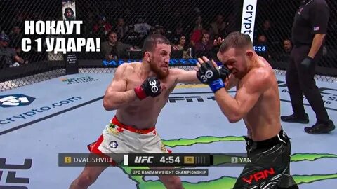 UFC 323: Ян vs Двалишвили - титул легчайшего веса в Лас-Вегасе