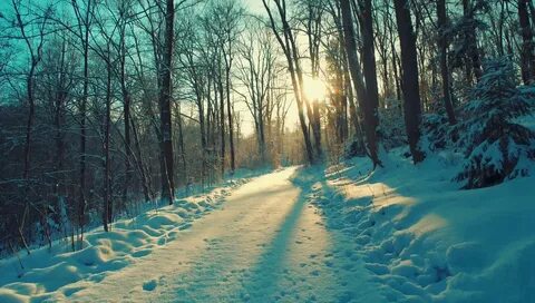 Джекпот в $1.27 млрд: кто сорвал мега-выигрыш? 🎉