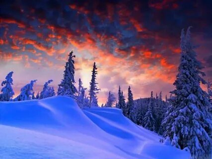 Джекпот в $1.27 млрд: кто сорвал мега-выигрыш? 🎉