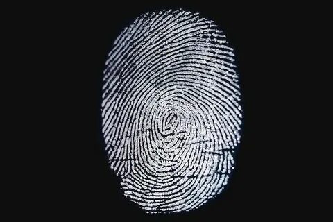 Биометрия в школах и рисках банков: отпечатки пальцев под контролем