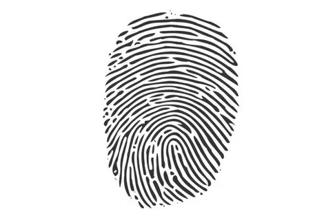 Биометрия в школах и рисках банков: отпечатки пальцев под контролем