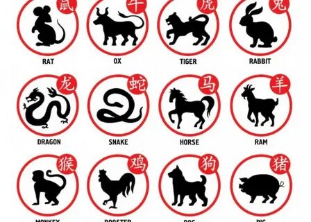 Год Огненной Лошади 2026: гороскоп и ключевые тренды 🔥