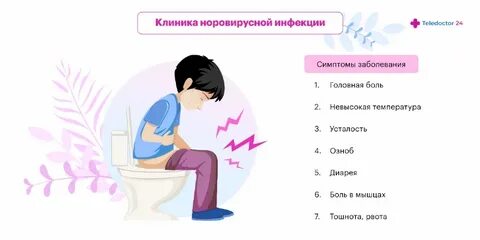 Норовирус в США: вспышка желудочно-кишечной инфекции