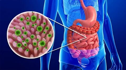Норовирус в США: вспышка желудочно-кишечной инфекции