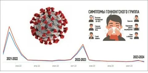 Гонконгский грипп: симптомы опасного штамма H3N2