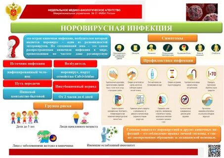 Норовирус в США: вспышка желудочно-кишечной инфекции