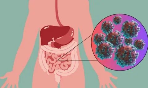 Норовирус в США: вспышка желудочно-кишечной инфекции