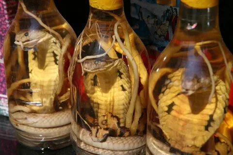 В Барнауле изъяли змеиное вино с редкой коброй