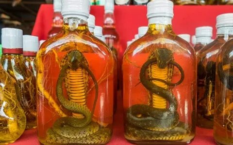 В Барнауле изъяли змеиное вино с редкой коброй