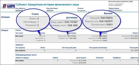 На Госуслугах разрешат бесплатный просмотр кредитной истории