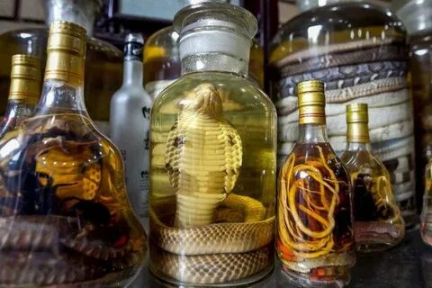 В Барнауле изъяли змеиное вино с редкой коброй