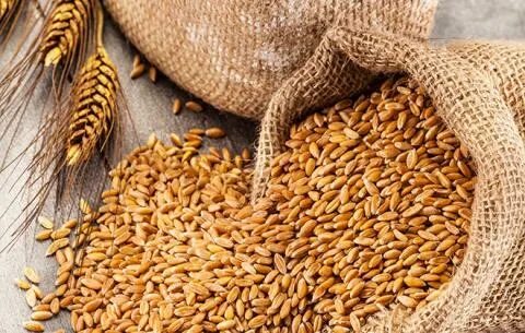 Иорданец осужден в России за нелегальную миграцию