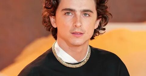 Тимоти Шаламе намекнул на связь с рэпером EsDeeKid