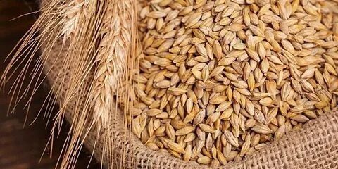 Иорданец осужден в России за нелегальную миграцию