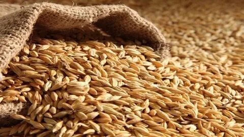 Иорданец осужден в России за нелегальную миграцию