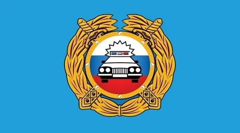 Пьяный водитель устроил погоню в Подмосковье, пострадал полицейский