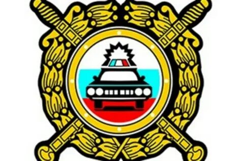 Пьяный водитель устроил погоню в Подмосковье, пострадал полицейский