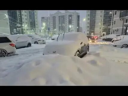 Беременные из районов Приамурья прошли обследования в Благовещенске