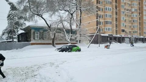 Беременные из районов Приамурья прошли обследования в Благовещенске
