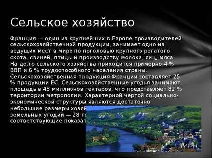 Выход Франции из ЕС: спасение для сельского хозяйства?