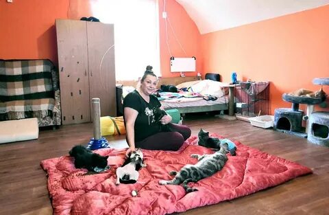 Трагедия приюта «Забытые сердца»: сотни мертвых животных