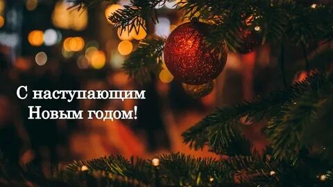 С наступающим Новым 2026 годом: теплые пожелания и надежды на будущее