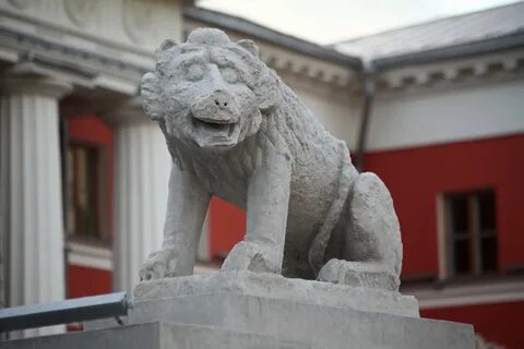 львы для фотосессий в Москве