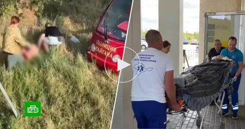 В Москве возбудили уголовное дело за фотосессии с изъятыми львами