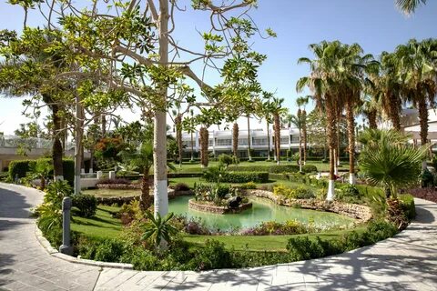 туры египет шарм-эль-шейх